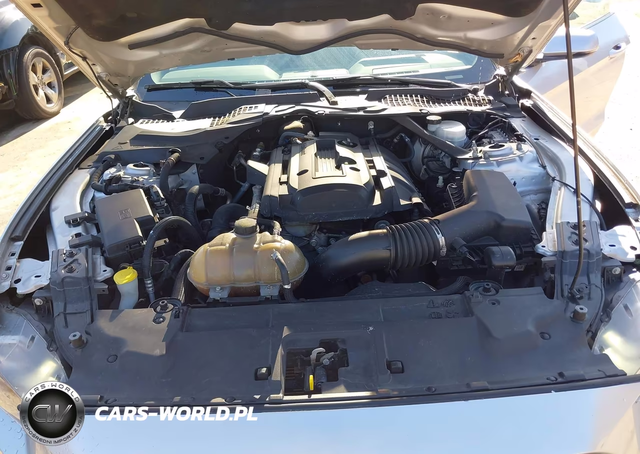 2018 Ford Mustang Ecoboost Premium VIN:1FATP8UH7J5167019 - 10