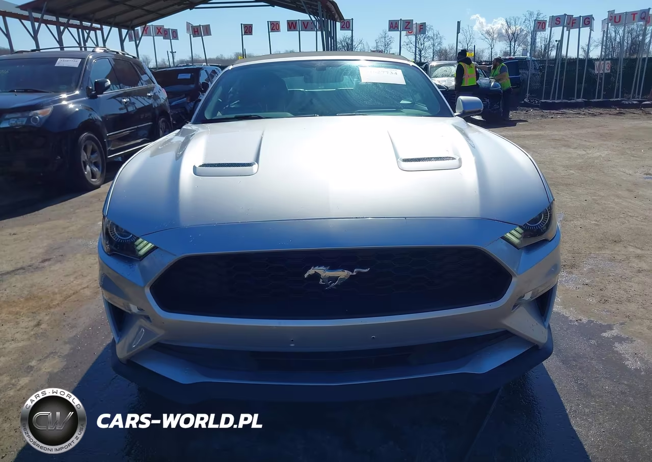 2018 Ford Mustang Ecoboost Premium VIN:1FATP8UH7J5167019 - 13
