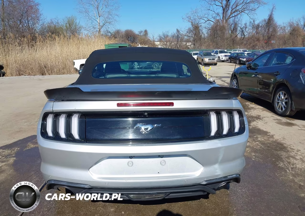 2018 Ford Mustang Ecoboost Premium VIN:1FATP8UH7J5167019 - 17