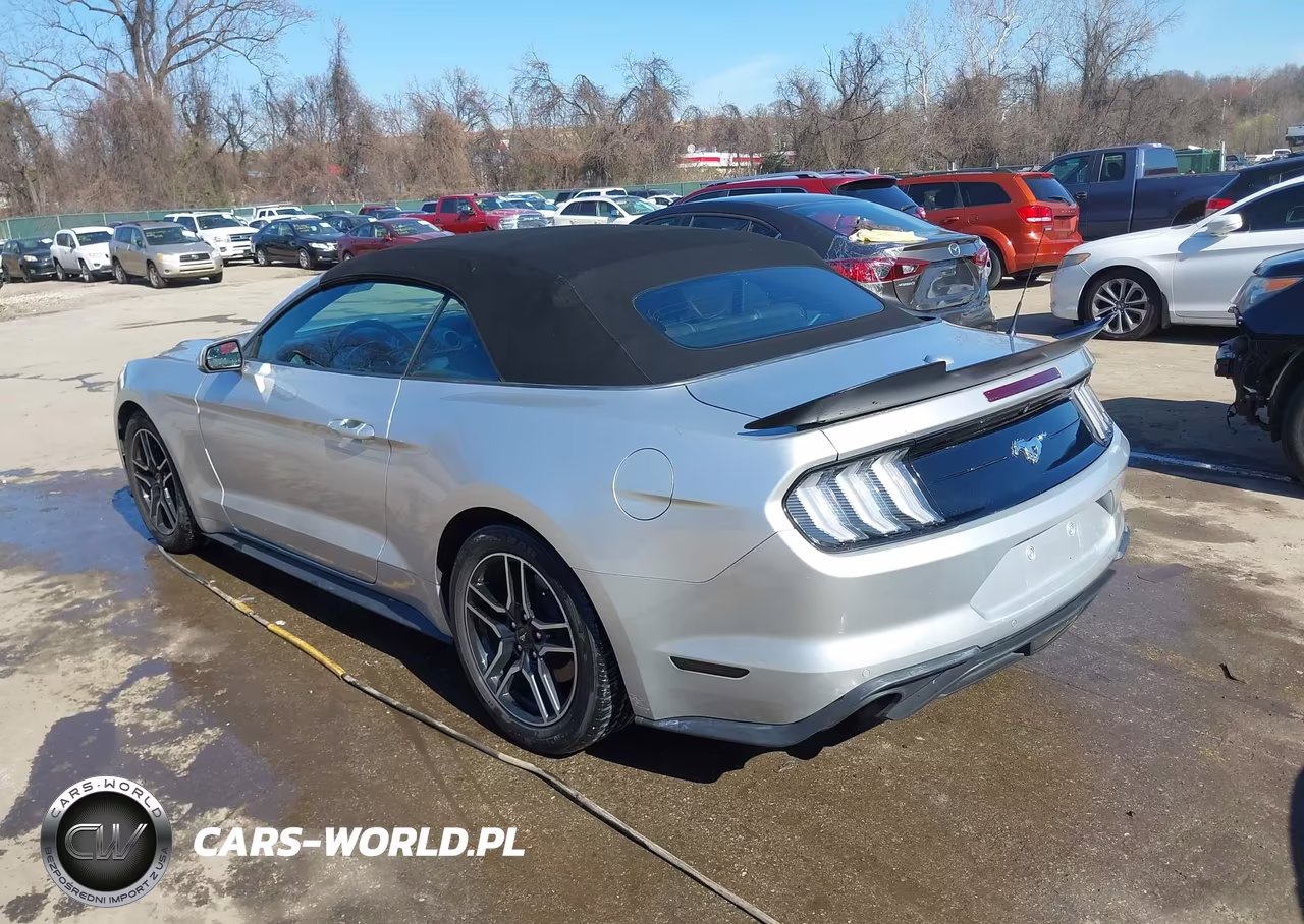 2018 Ford Mustang Ecoboost Premium VIN:1FATP8UH7J5167019 - 3
