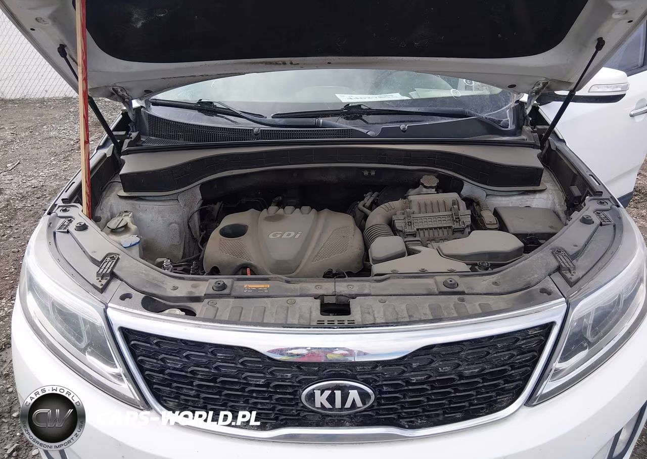 2015 Kia Sorento Lx VIN:5XYKTDA65FG561937 - 10