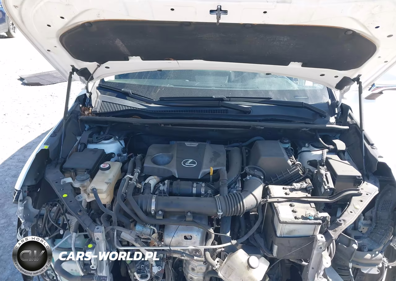 2021 Lexus Nx 300 VIN:JTJDARBZ6M5028809 - 10