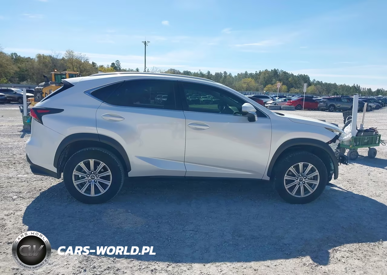 2021 Lexus Nx 300 VIN:JTJDARBZ6M5028809 - 14