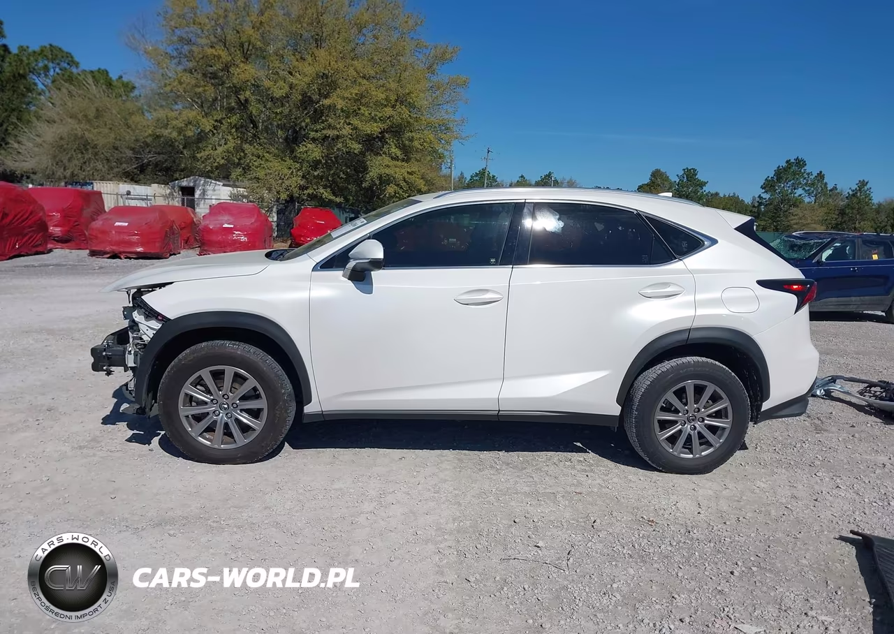 2021 Lexus Nx 300 VIN:JTJDARBZ6M5028809 - 15