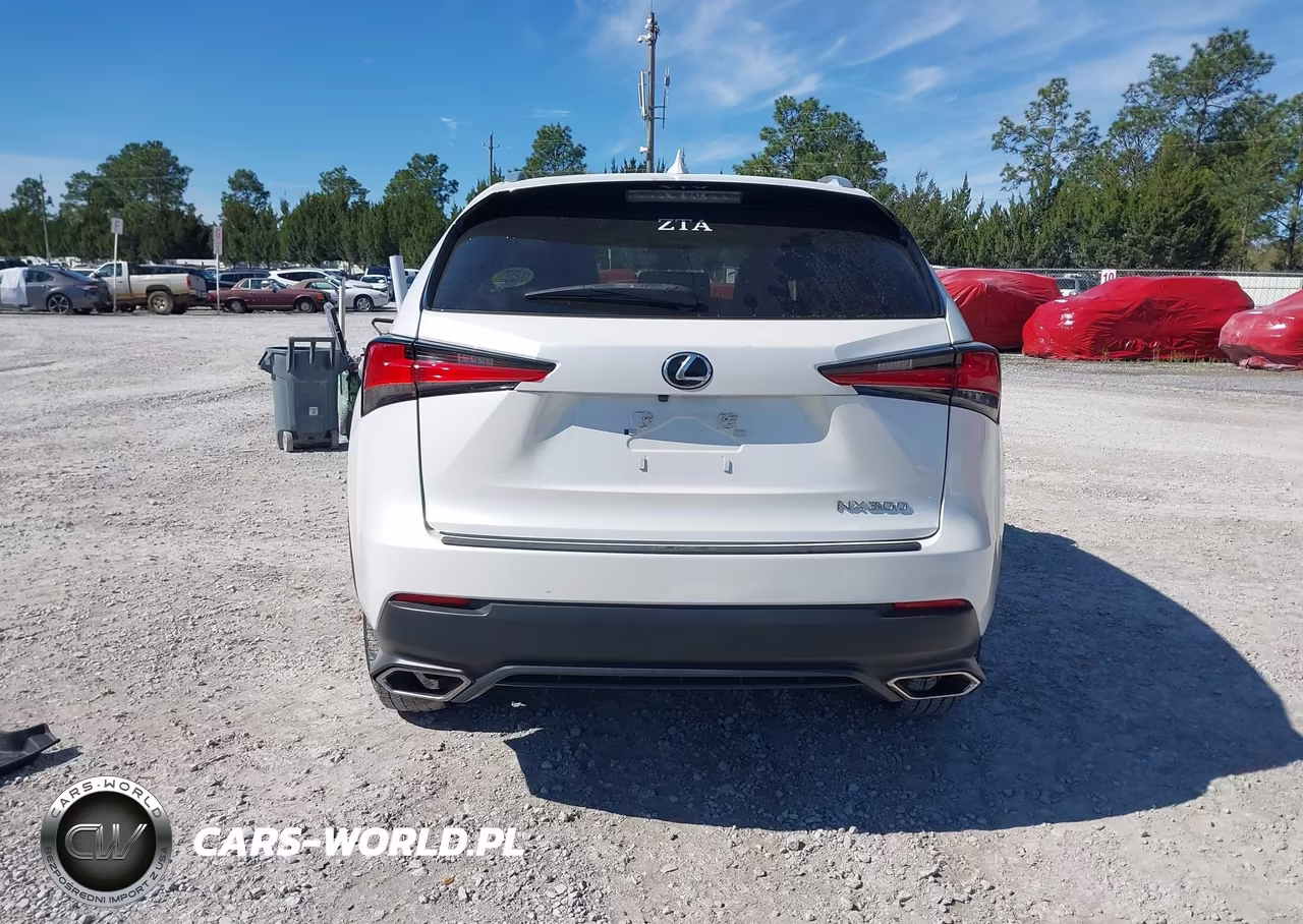 2021 Lexus Nx 300 VIN:JTJDARBZ6M5028809 - 17
