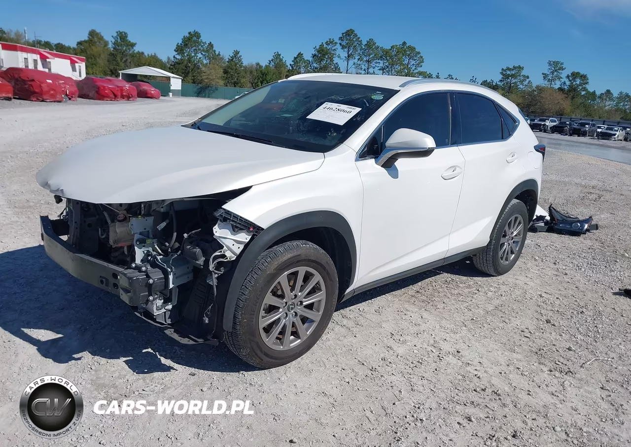 2021 Lexus Nx 300 VIN:JTJDARBZ6M5028809 - 2