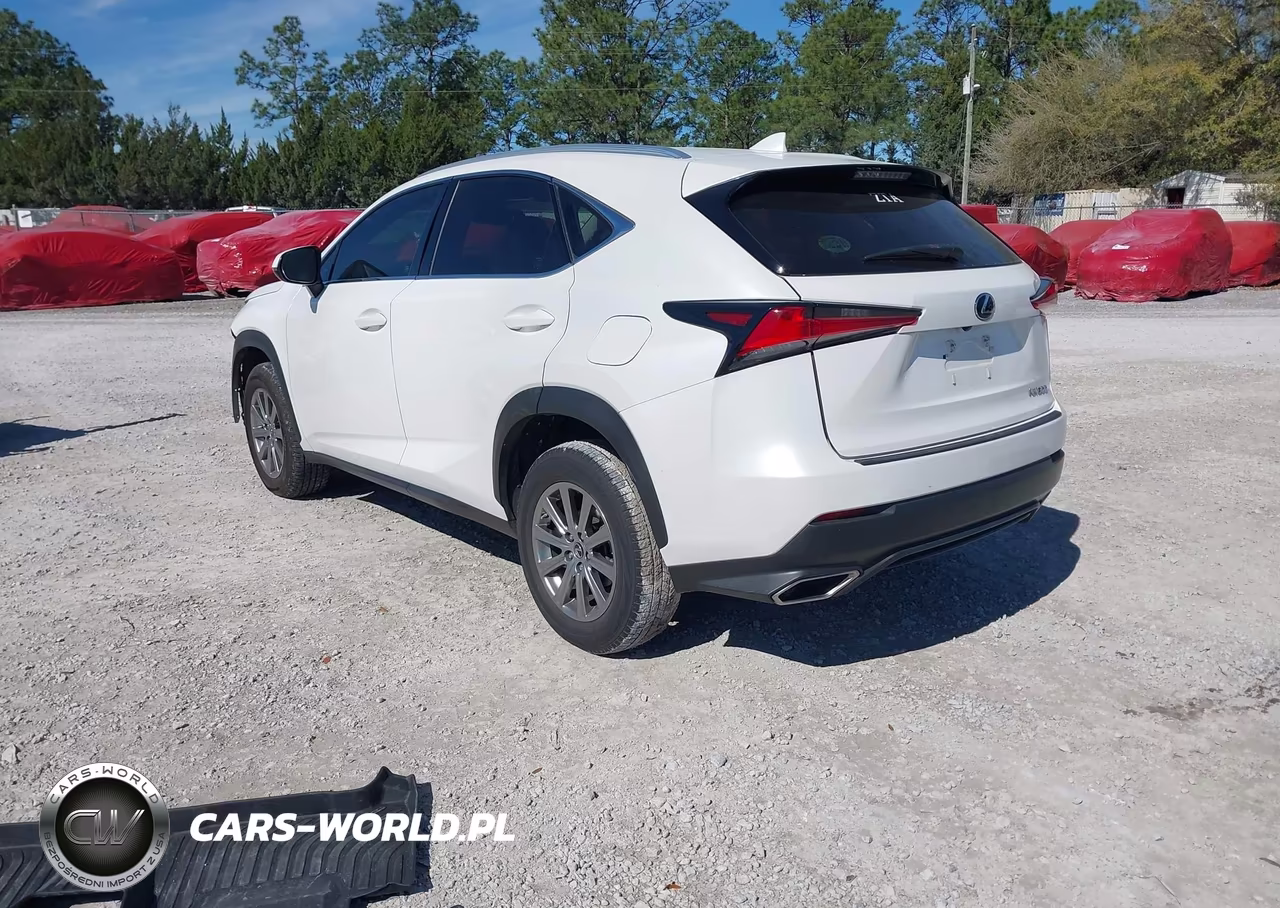 2021 Lexus Nx 300 VIN:JTJDARBZ6M5028809 - 3