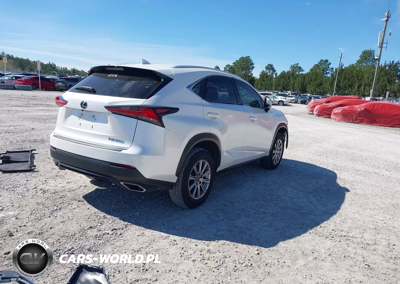 2021 Lexus Nx 300 VIN:JTJDARBZ6M5028809 - 4
