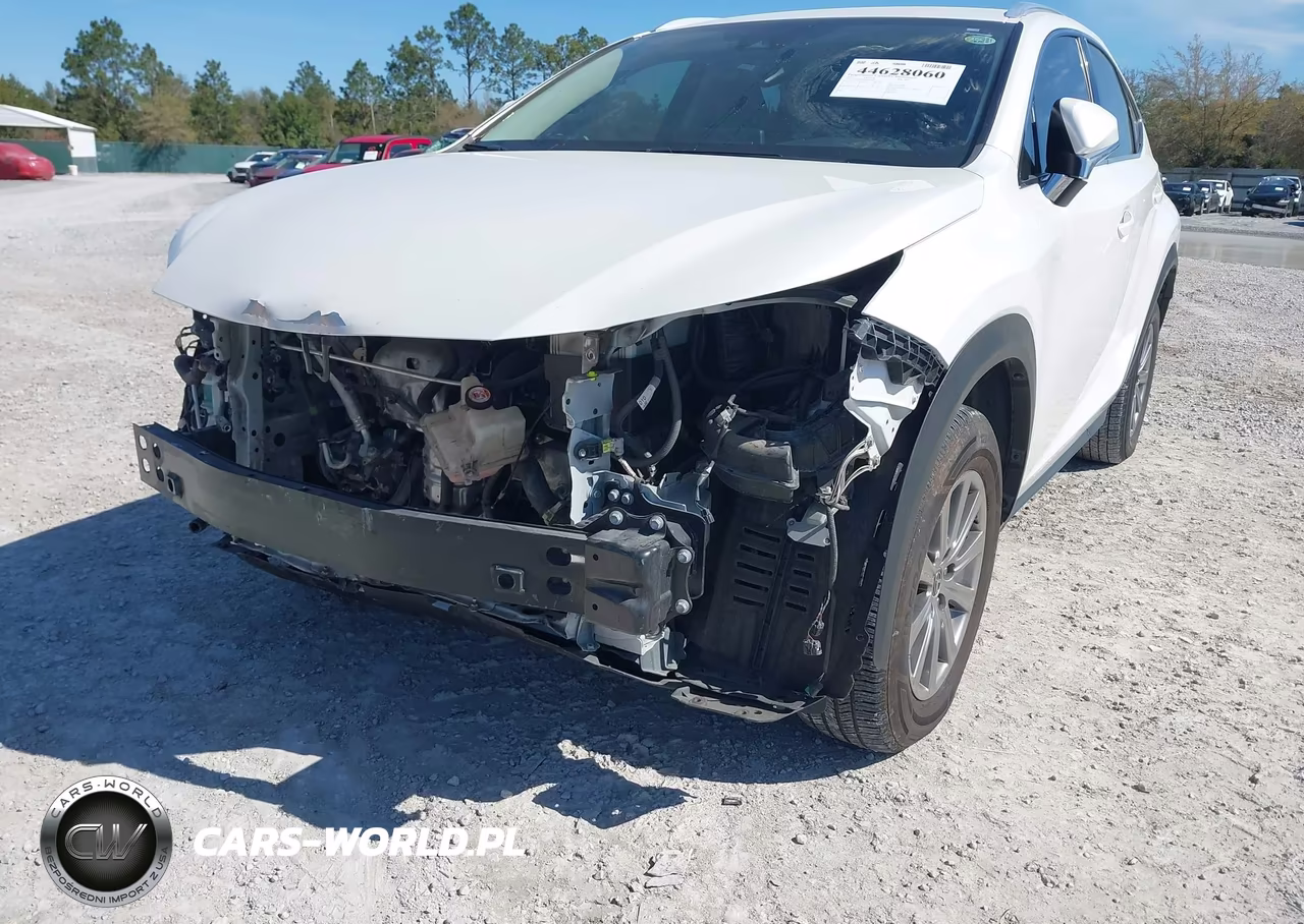 2021 Lexus Nx 300 VIN:JTJDARBZ6M5028809 - 6