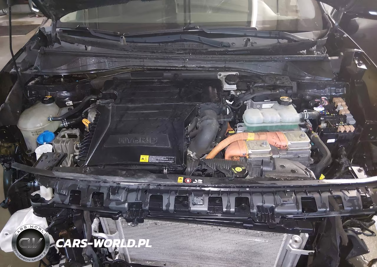 2019 Kia Niro Touring VIN:KNDCE3LC7K5264599 - 10