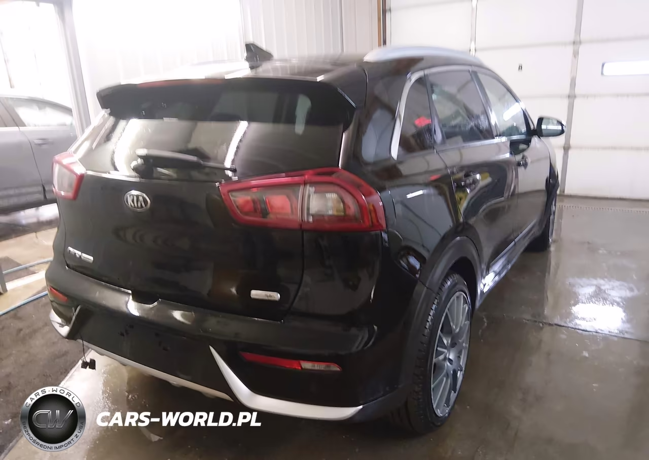 2019 Kia Niro Touring VIN:KNDCE3LC7K5264599 - 4