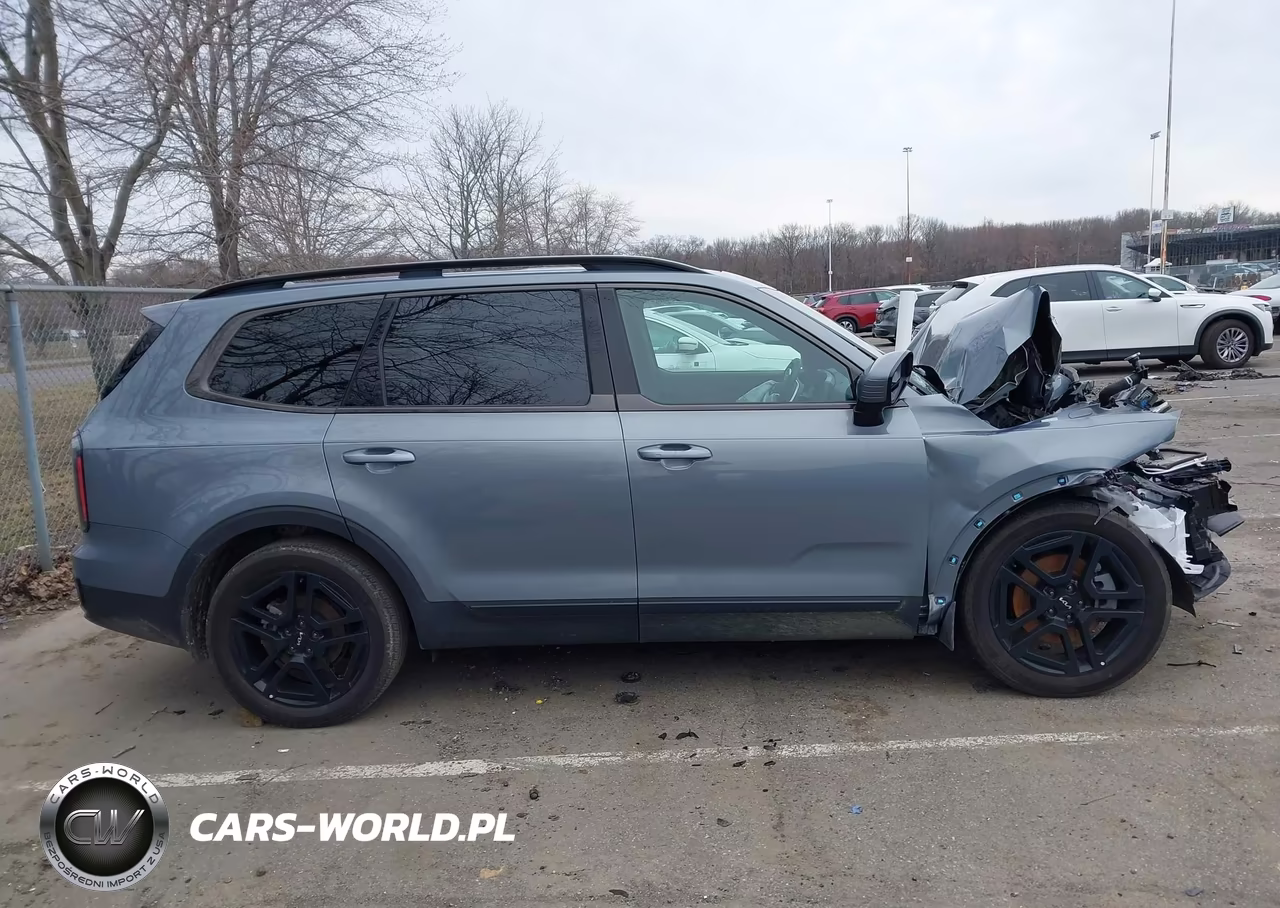 2024 Kia Telluride Sx X-Line VIN:5XYP5DGC2RG550766 - 13