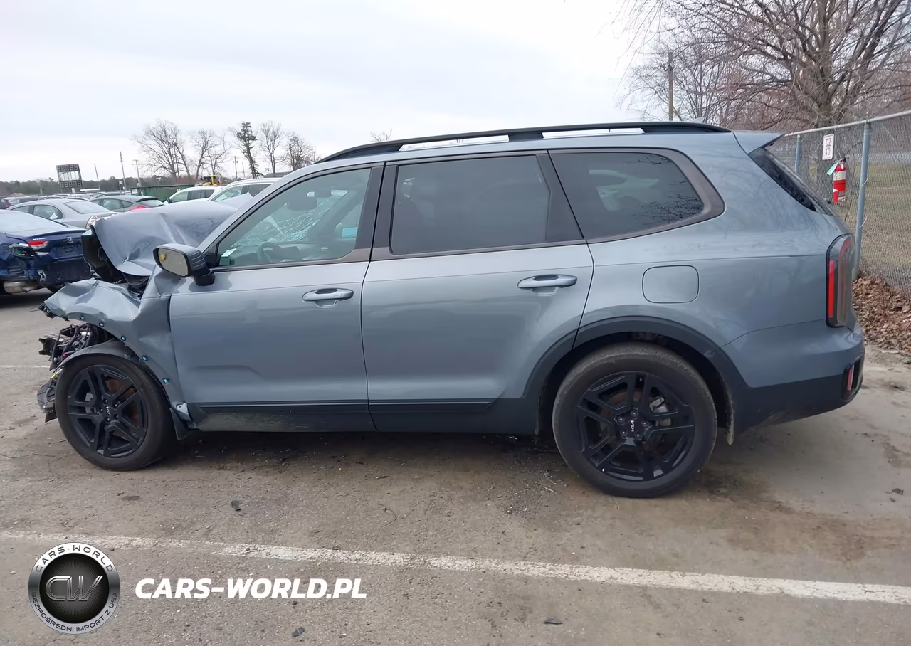 2024 Kia Telluride Sx X-Line VIN:5XYP5DGC2RG550766 - 14