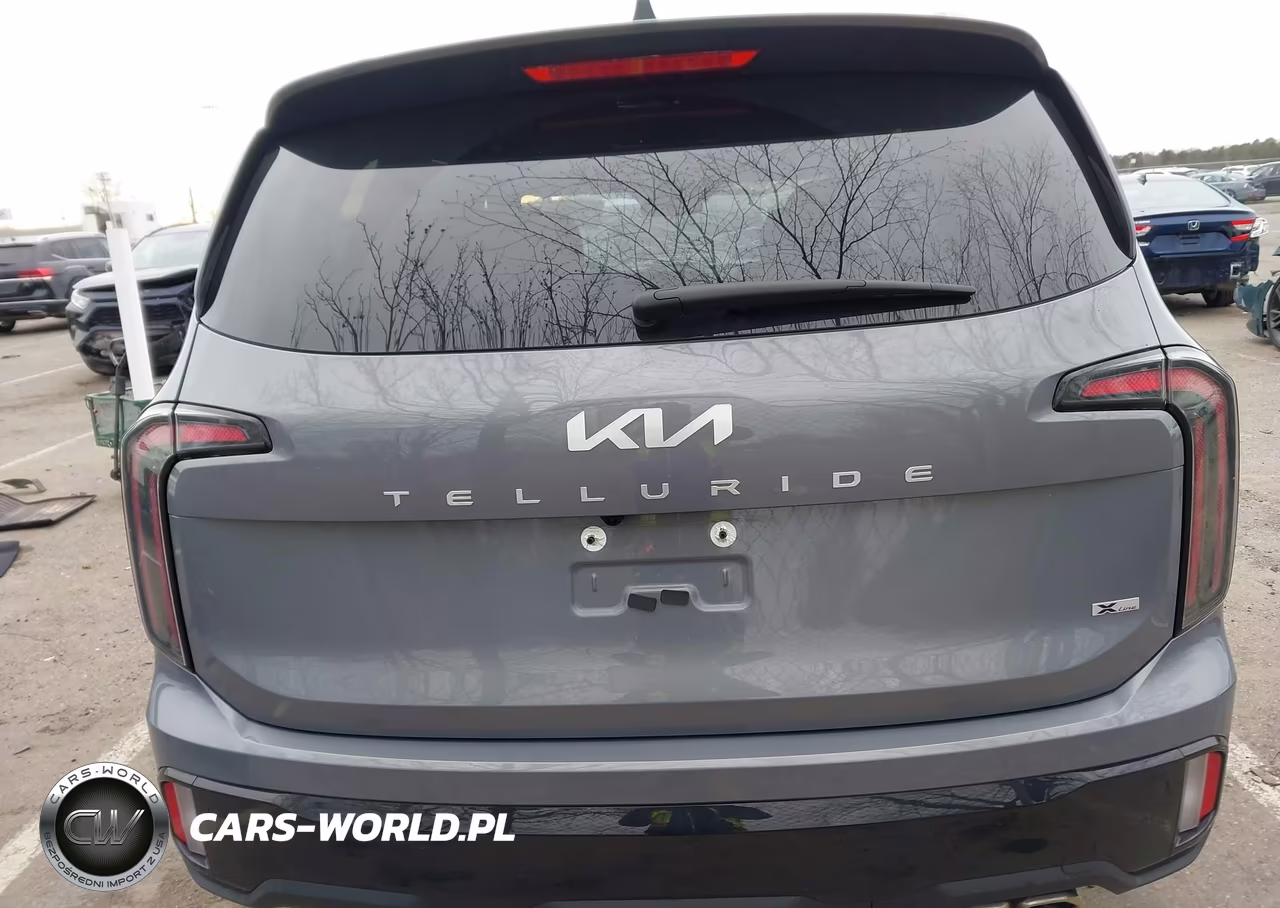 2024 Kia Telluride Sx X-Line VIN:5XYP5DGC2RG550766 - 16