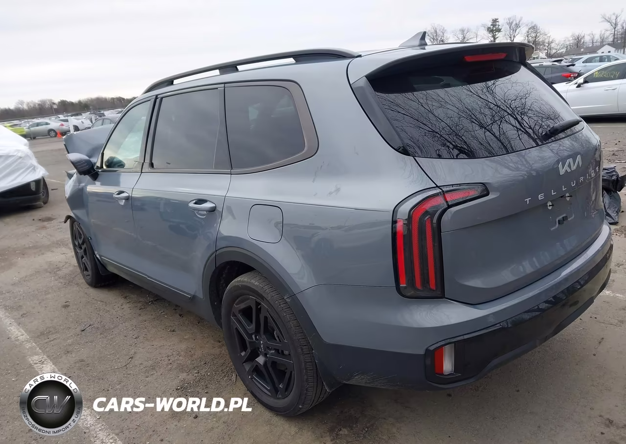 2024 Kia Telluride Sx X-Line VIN:5XYP5DGC2RG550766 - 3