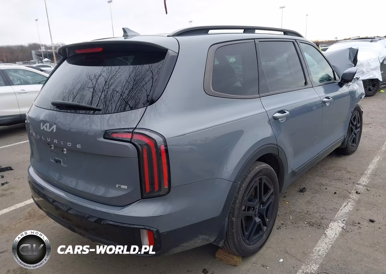2024 Kia Telluride Sx X-Line VIN:5XYP5DGC2RG550766 - 4