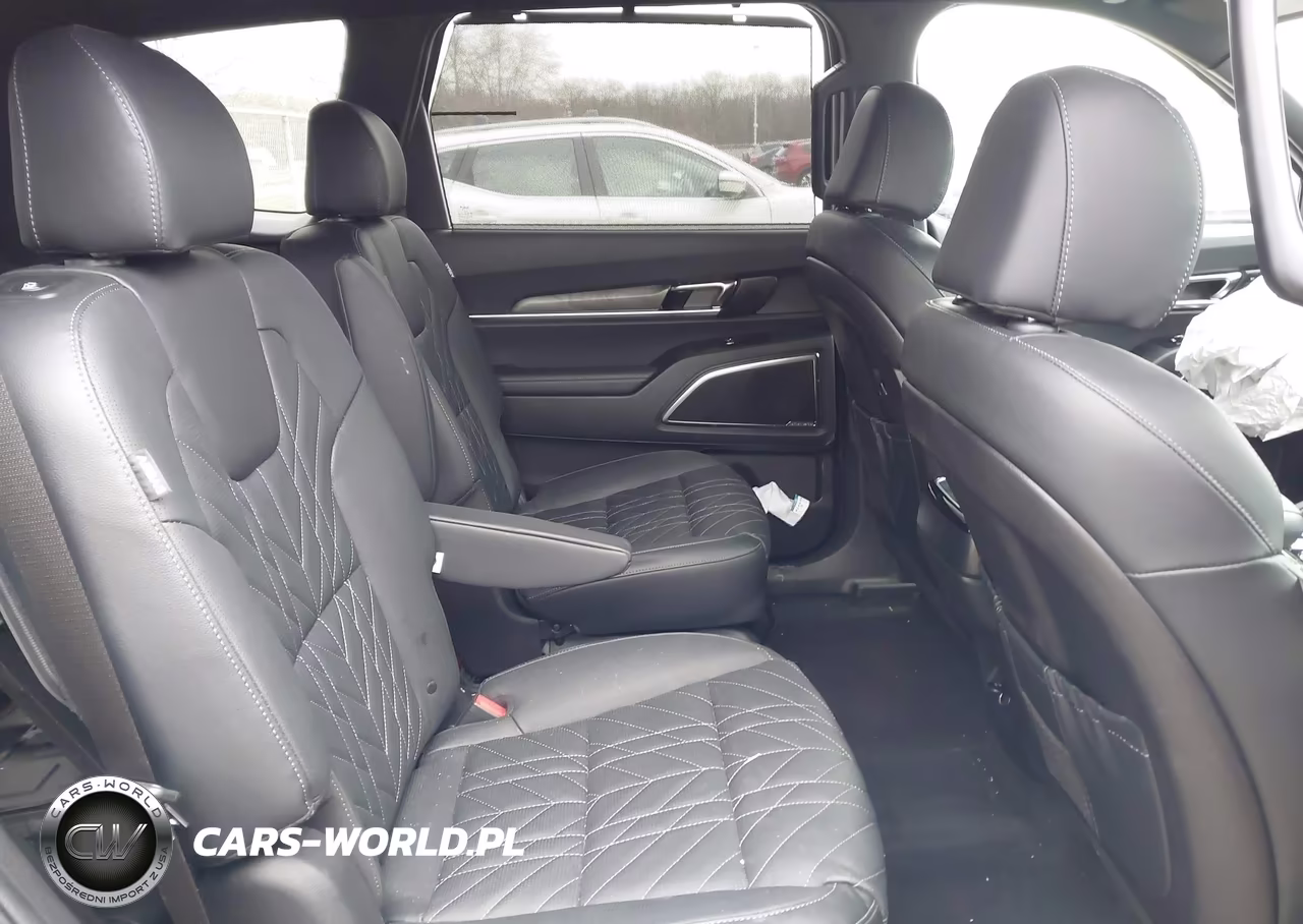 2024 Kia Telluride Sx X-Line VIN:5XYP5DGC2RG550766 - 8