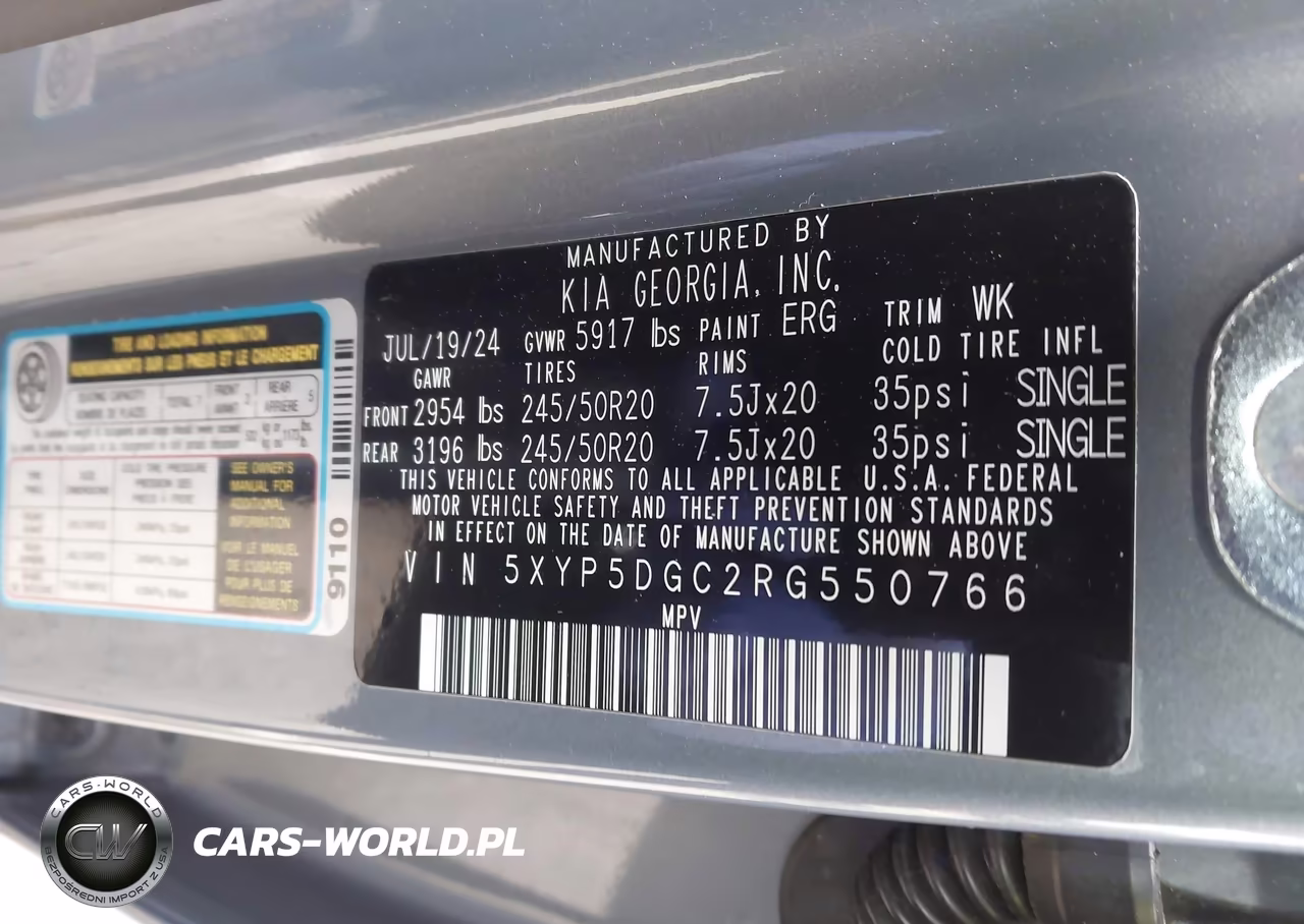 2024 Kia Telluride Sx X-Line VIN:5XYP5DGC2RG550766 - 9