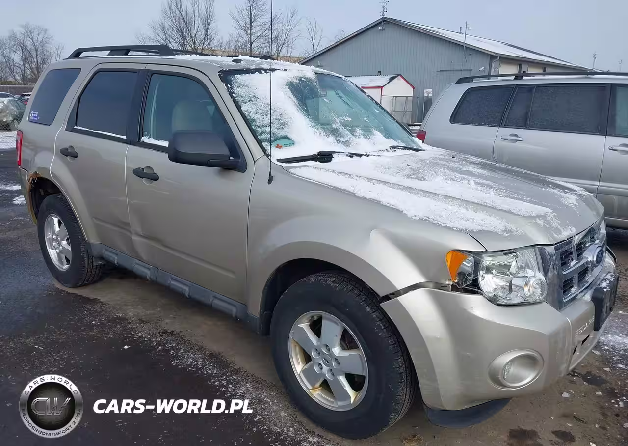 2010 Ford Escape Xlt