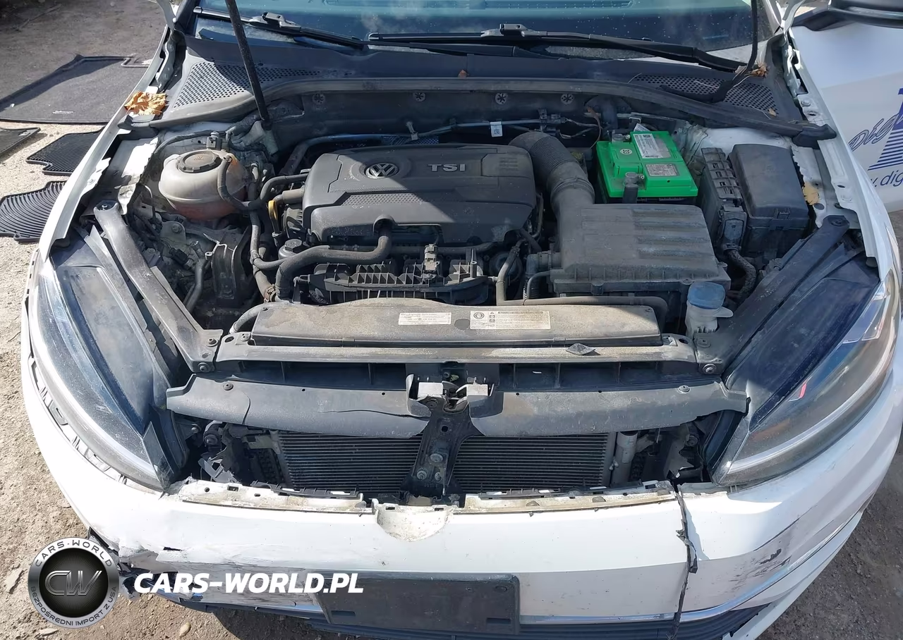 2019 Volkswagen Golf Sportwagen 1.8T S VIN:3VW217AU0KM500866 - 10