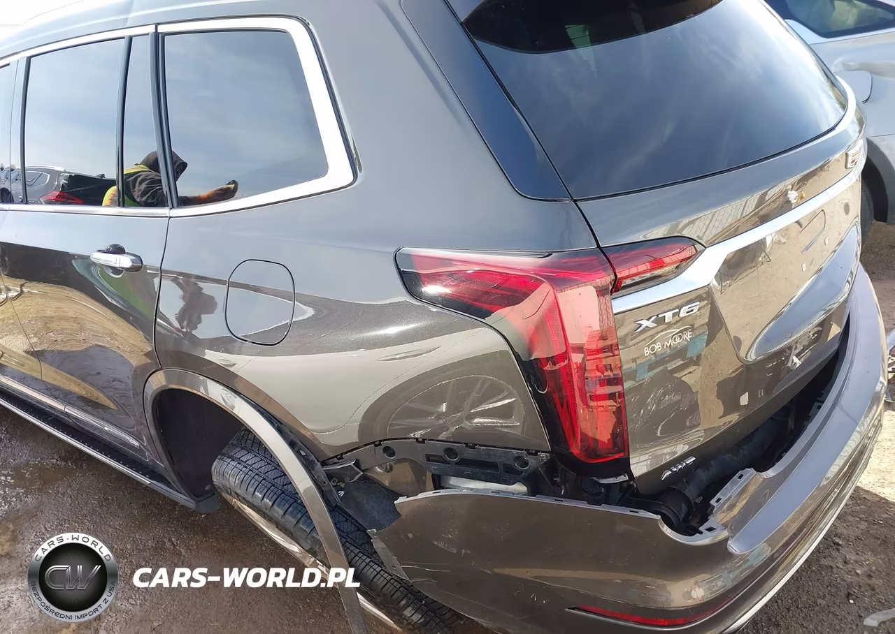 2020 Cadillac Xt6 Premium Luxury VIN:1GYKPDRS3LZ195103 - 6