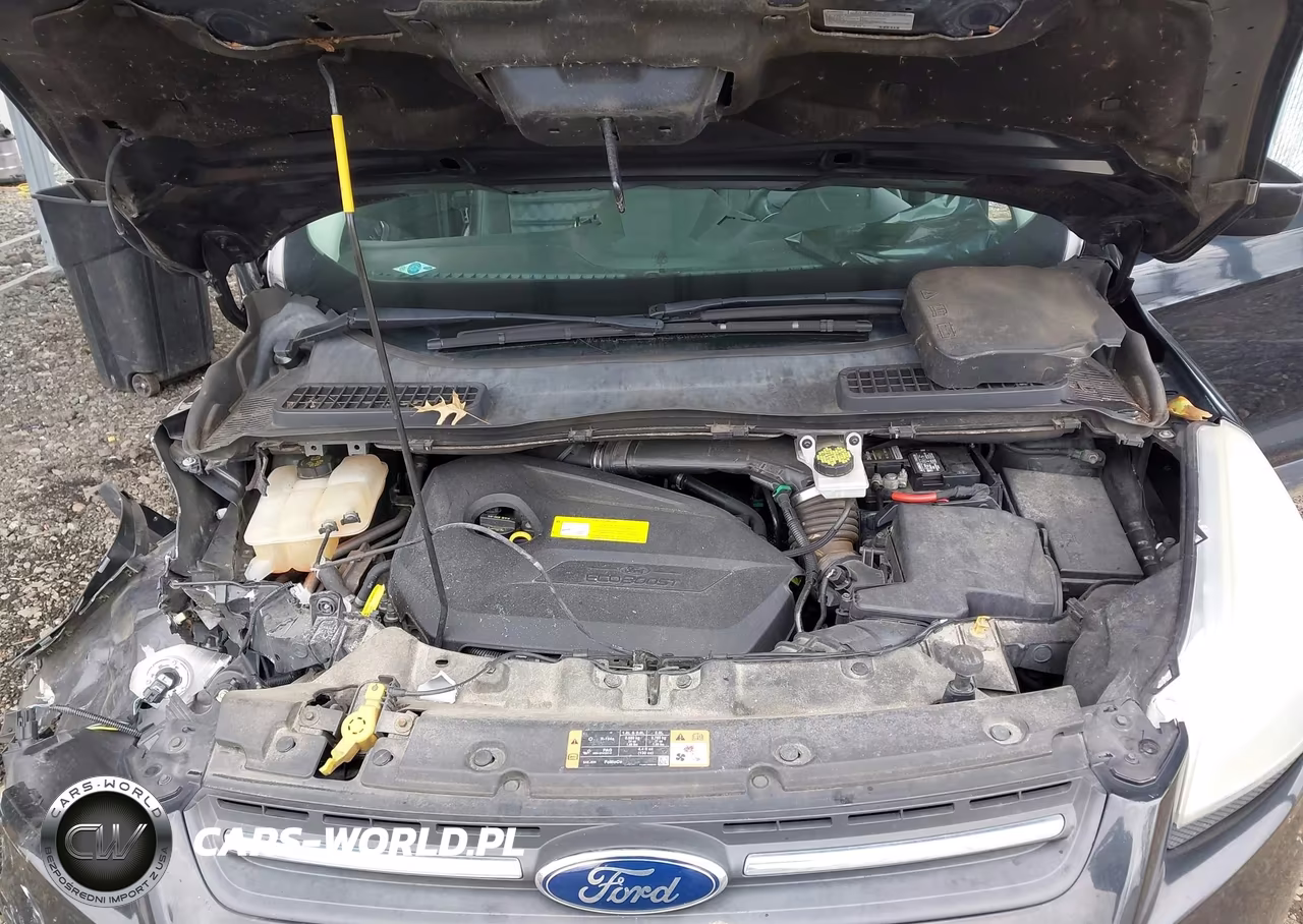 2015 Ford Escape Se VIN:1FMCU0GX1FUC39591 - 10
