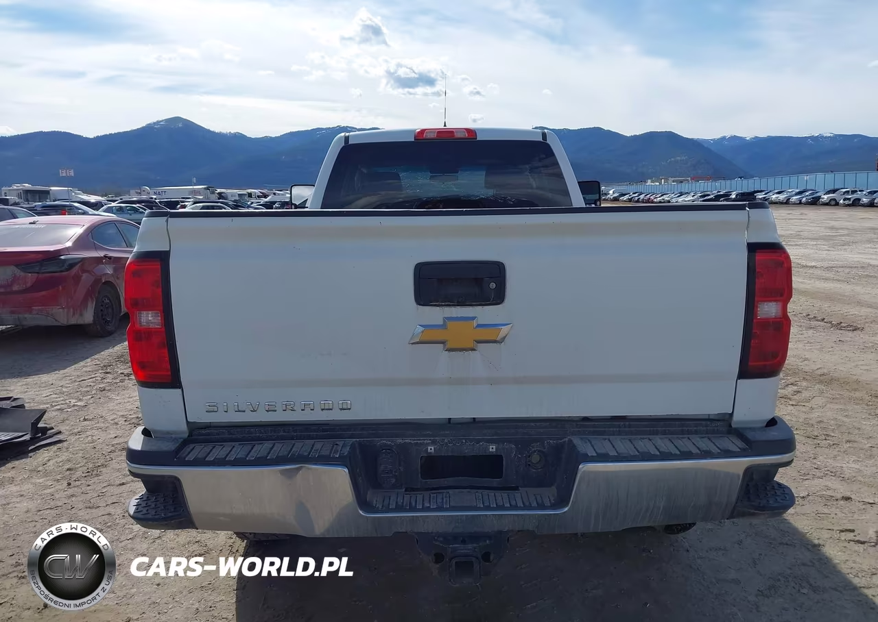 2018 Chevrolet Silverado 2500Hd Wt VIN:1GC2KUEG7JZ253135 - 17