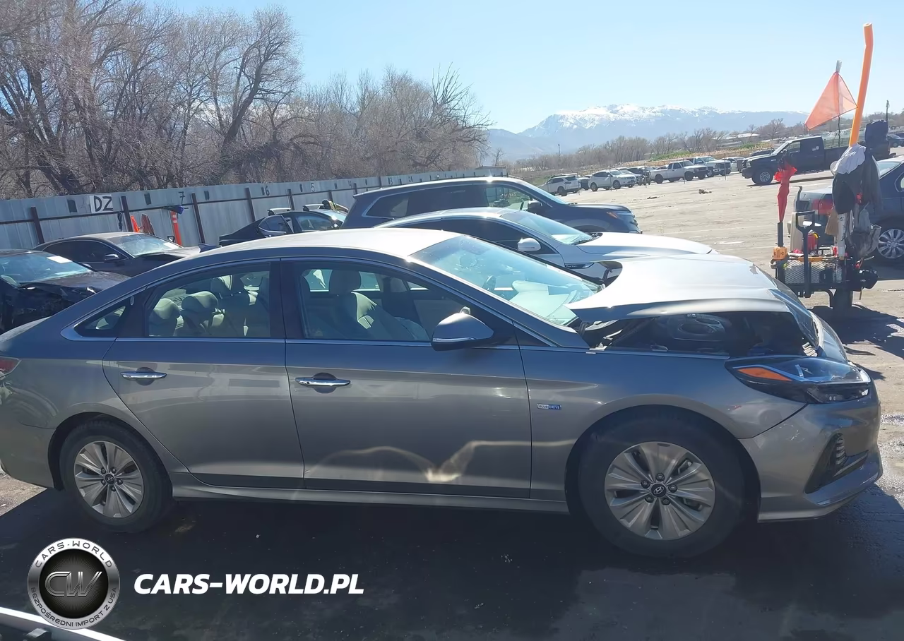 2019 Hyundai Sonata Hybrid Se VIN:KMHE24L38KA084526 - 12