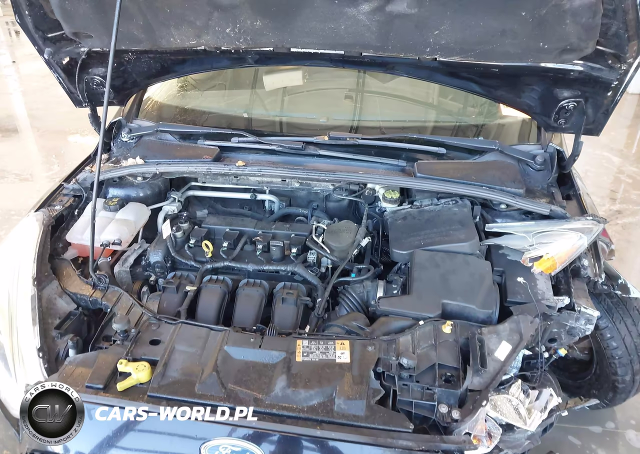2016 Ford Focus S VIN:1FADP3E23GL234026 - 10