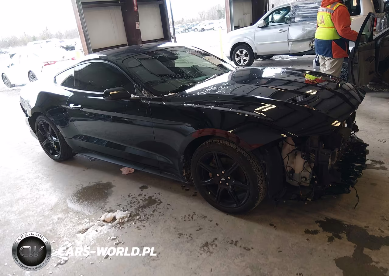 2019 Ford Mustang Ecoboost