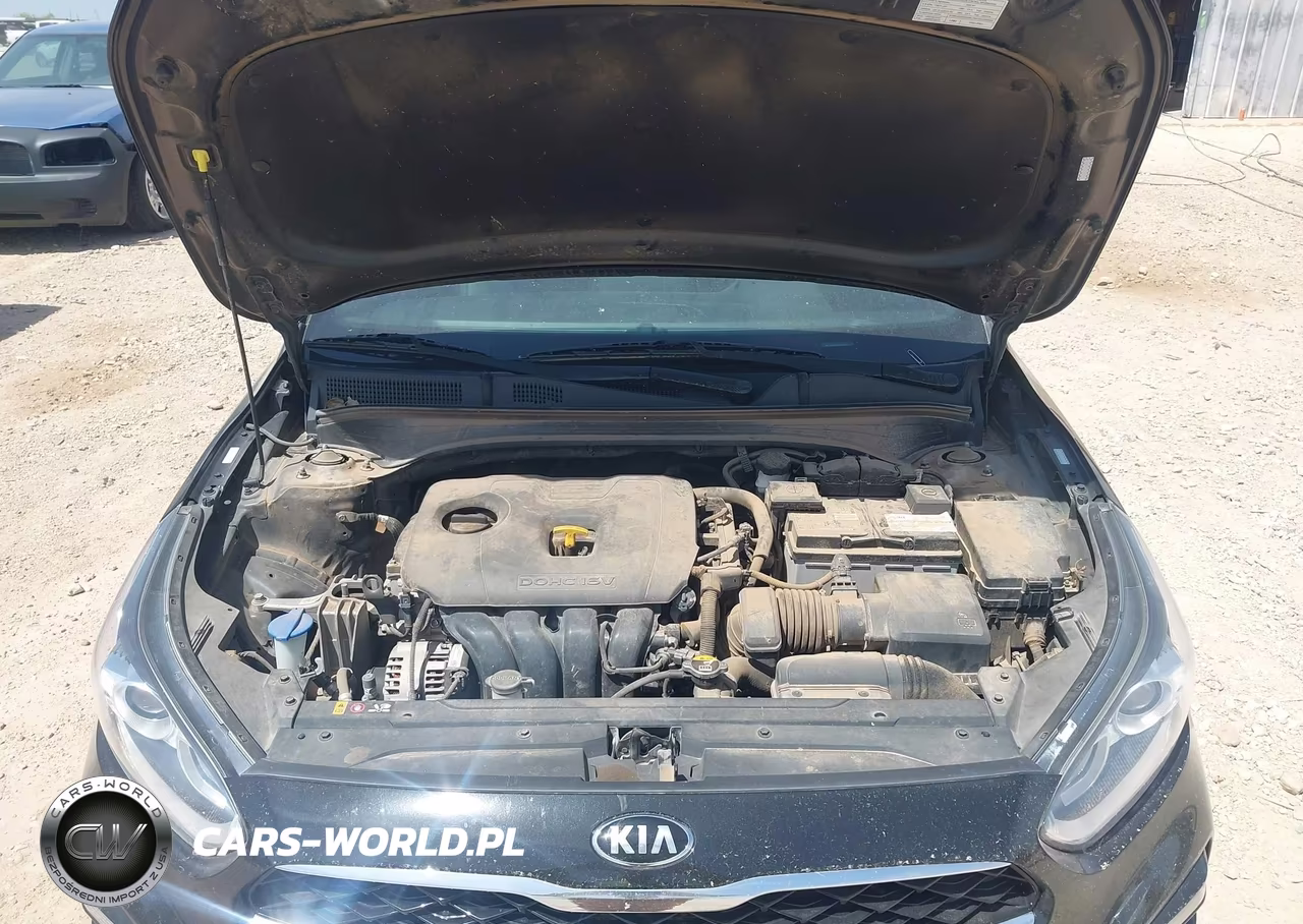 2020 Kia Forte Ex VIN:3KPF54AD8LE253695 - 10