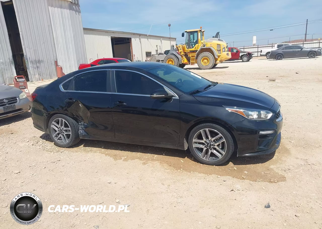 2020 Kia Forte Ex VIN:3KPF54AD8LE253695 - 13