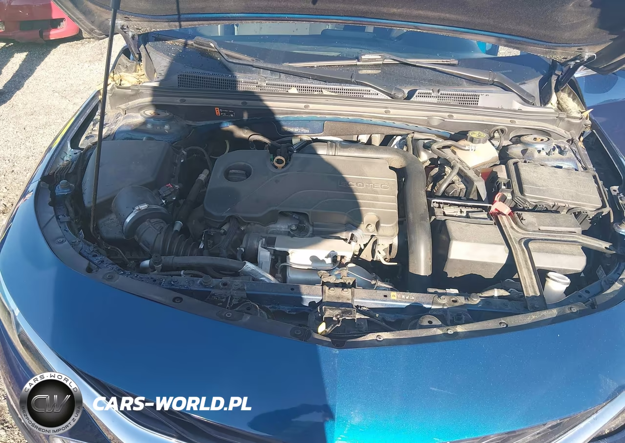 2019 Chevrolet Malibu Lt VIN:1G1ZD5ST4KF214935 - 10