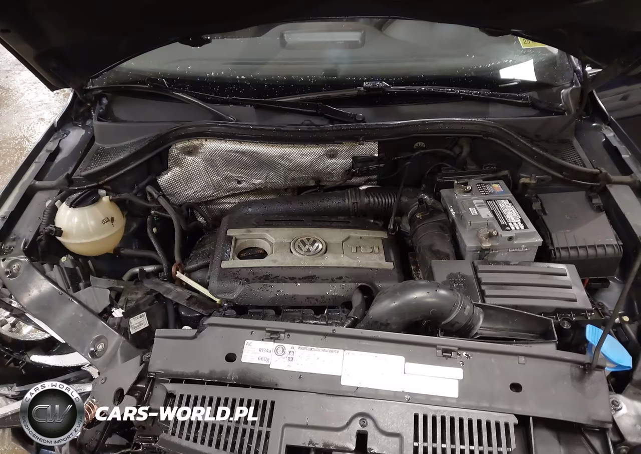 2013 Volkswagen Tiguan S-Se-Sel VIN:WVGBV7AX7DW505000 - 10
