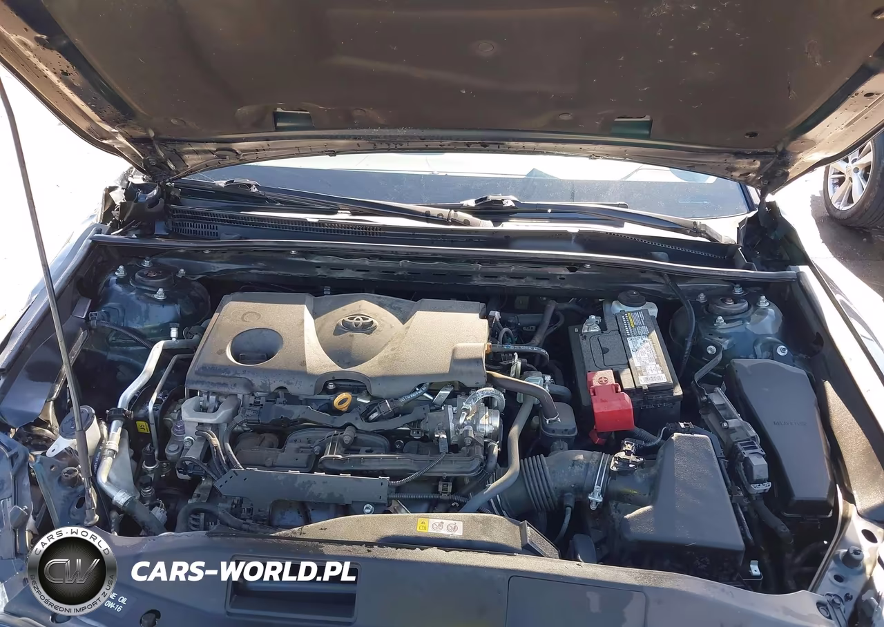 2021 Toyota Camry Se VIN:4T1G11AK0MU446810 - 10