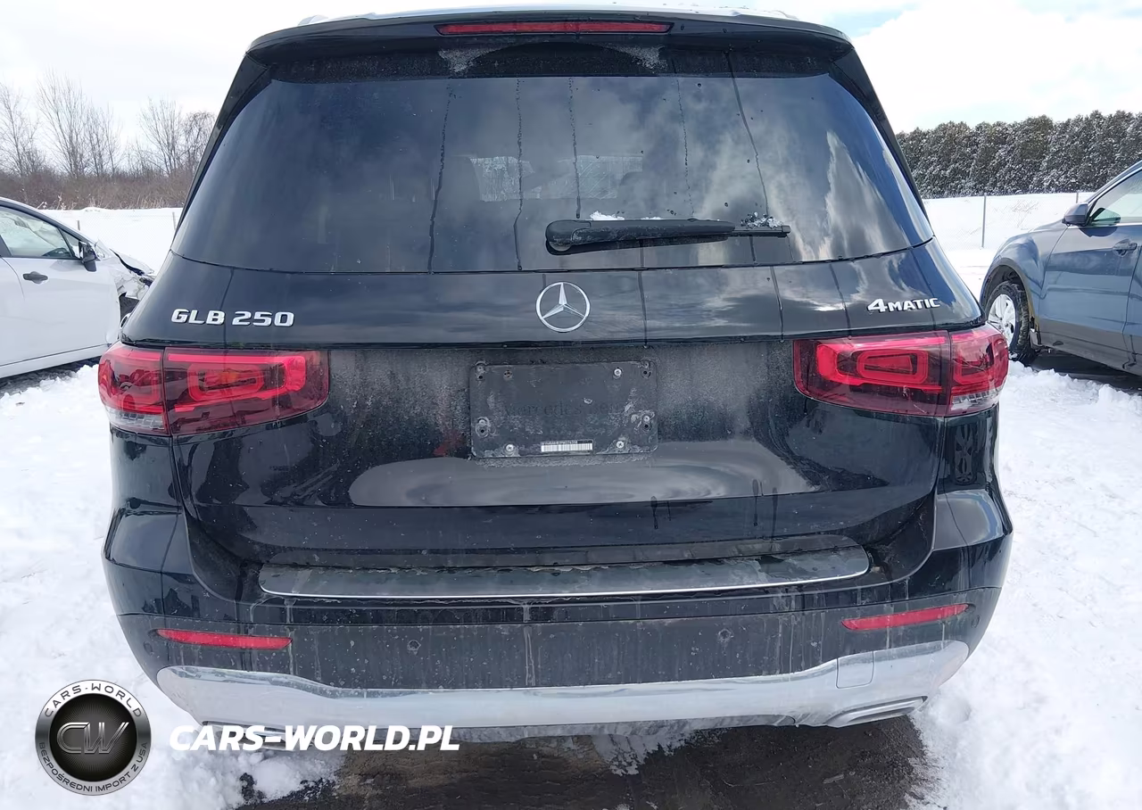 2023 Mercedes-Benz Glb 250 4Matic VIN:W1N4M4HB2PW276358 - 16