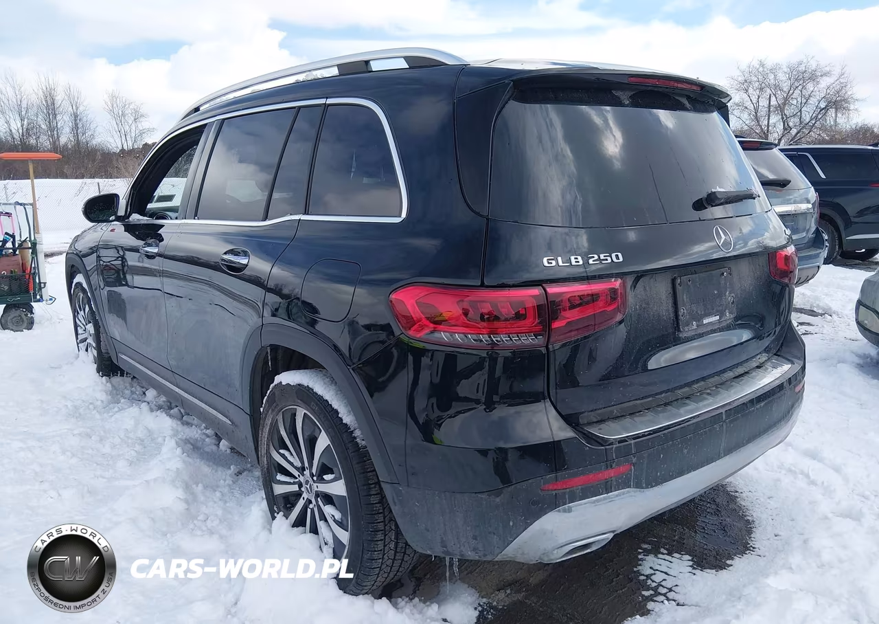 2023 Mercedes-Benz Glb 250 4Matic VIN:W1N4M4HB2PW276358 - 3