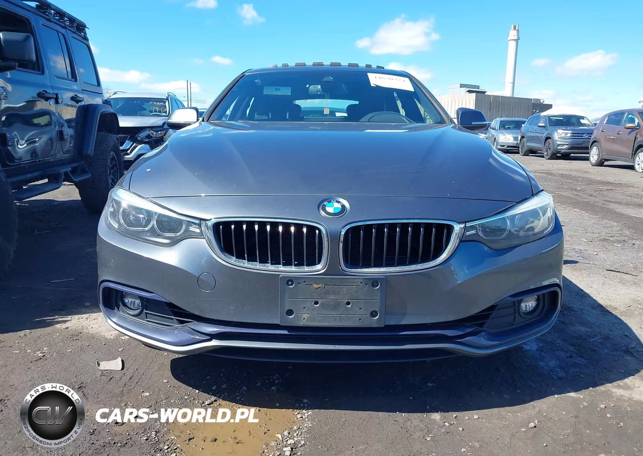 2019 BMW 430I Gran Coupe xDrive VIN:WBA4J3C57KBL10609 - 12