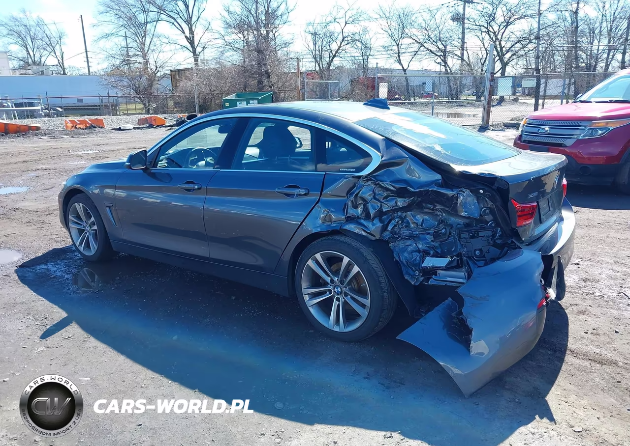 2019 BMW 430I Gran Coupe xDrive VIN:WBA4J3C57KBL10609 - 3