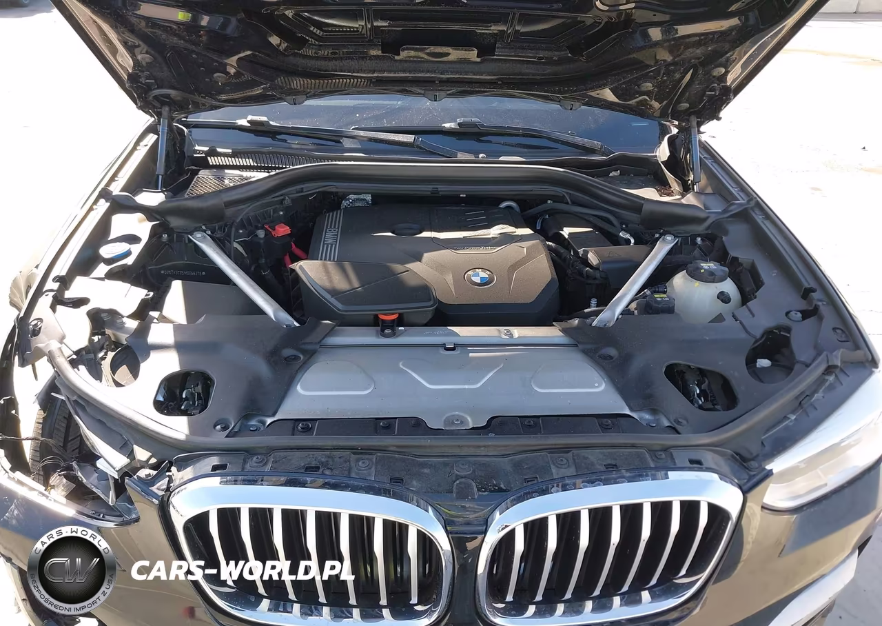 2021 BMW X3 Sdrive30I VIN:5UXTY3C05M9G56376 - 10