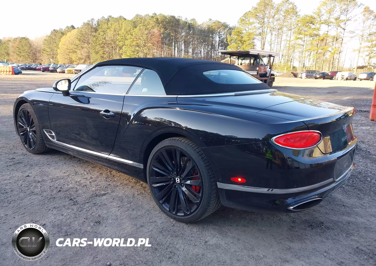 2023 Bentley Continental Gt Mulliner W12-Speed VIN:SCBDT4ZG5PC011507 - 3