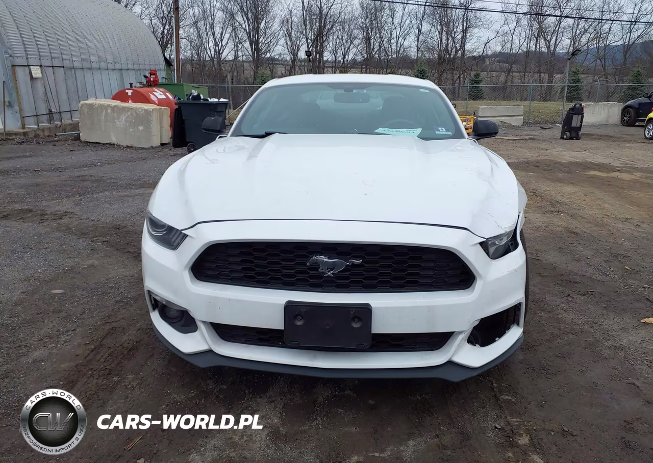 2015 Ford Mustang Ecoboost VIN:1FA6P8TH7F5373348 - 12