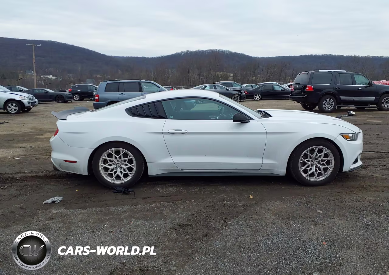 2015 Ford Mustang Ecoboost VIN:1FA6P8TH7F5373348 - 13