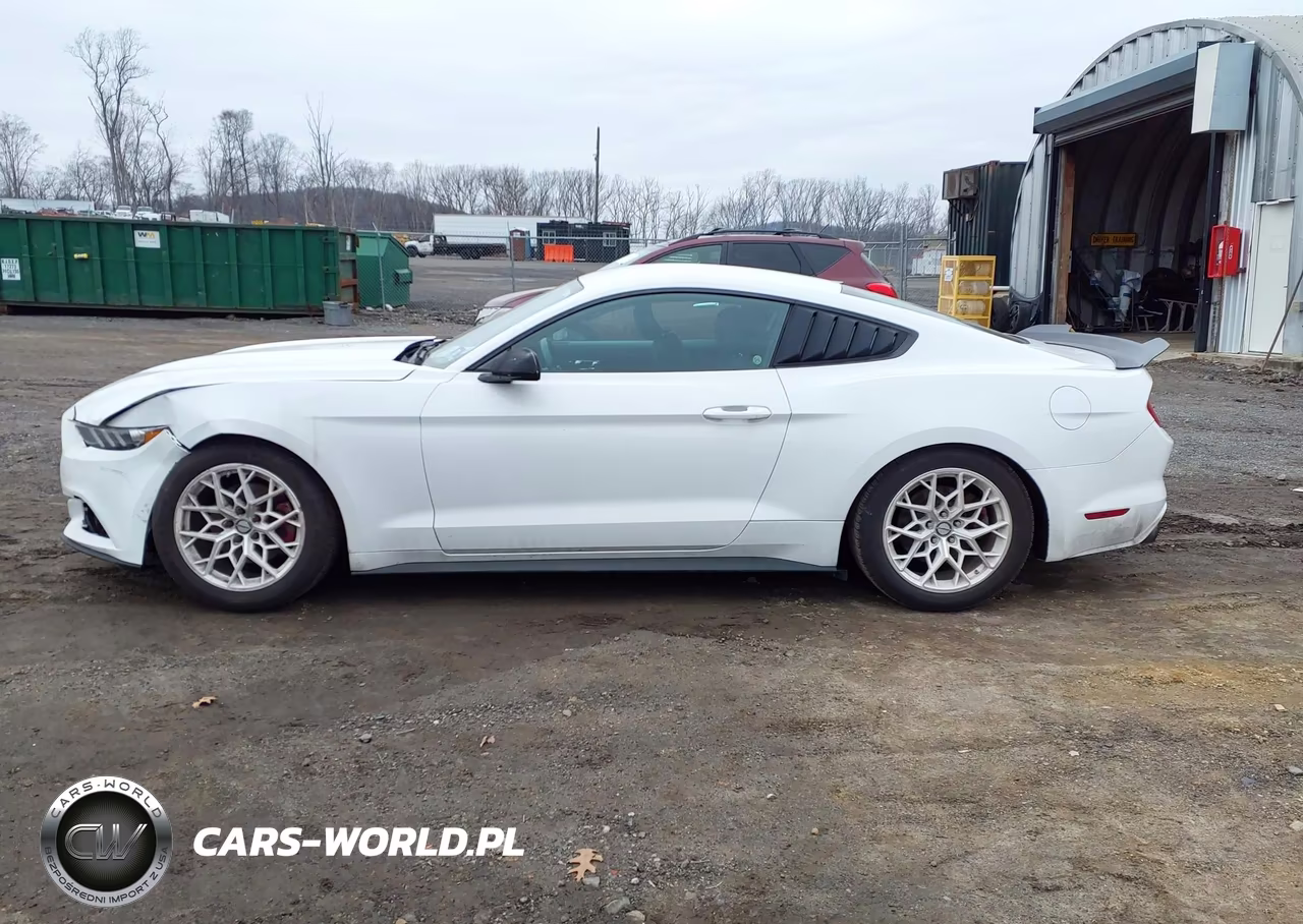 2015 Ford Mustang Ecoboost VIN:1FA6P8TH7F5373348 - 14