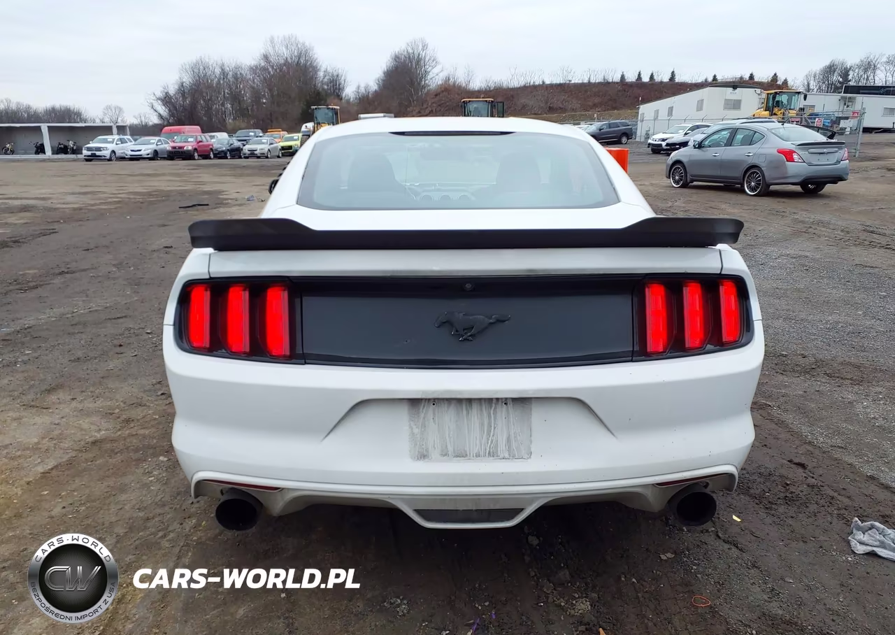 2015 Ford Mustang Ecoboost VIN:1FA6P8TH7F5373348 - 16
