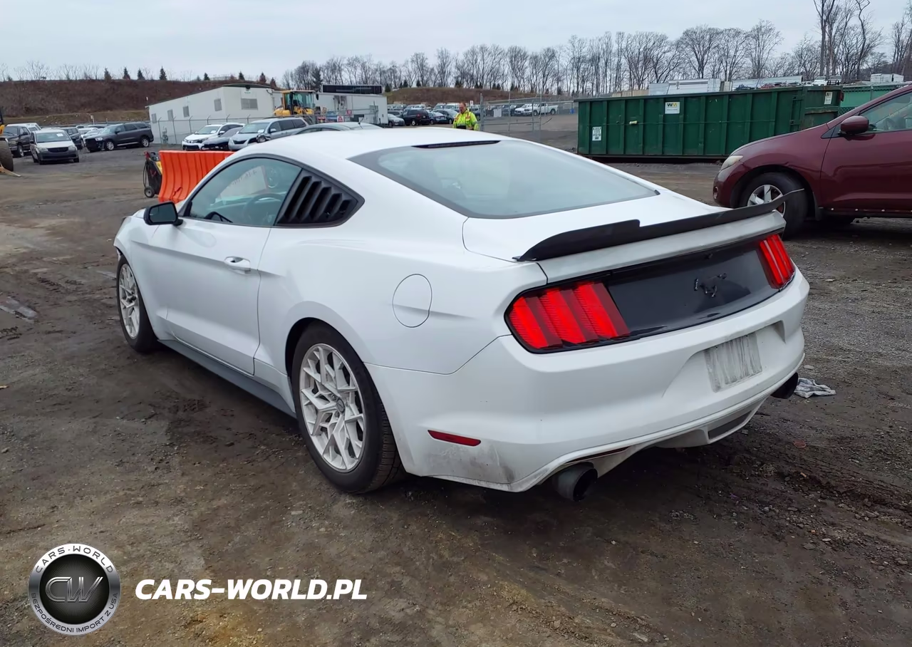 2015 Ford Mustang Ecoboost VIN:1FA6P8TH7F5373348 - 3