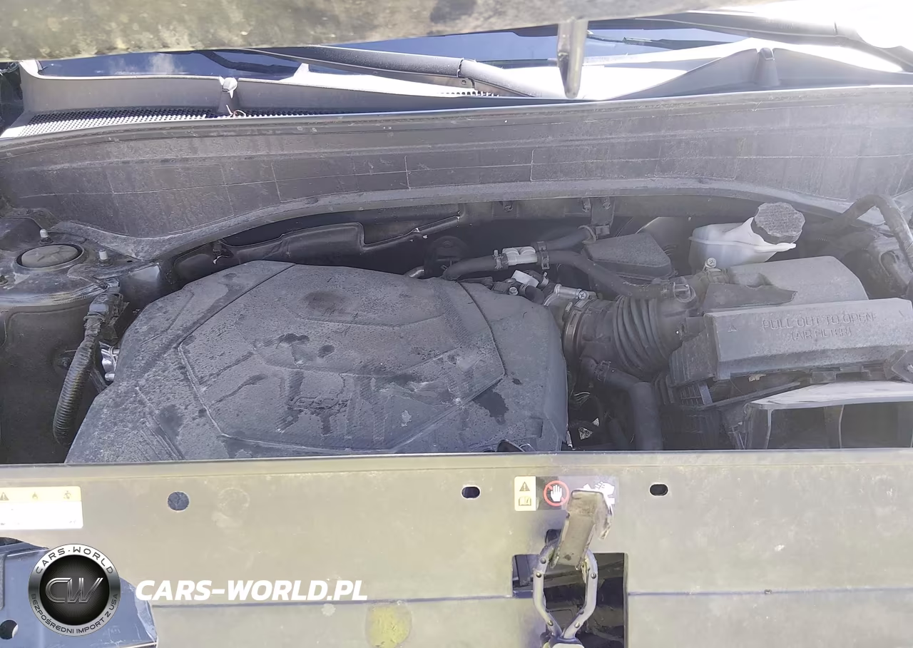 2023 Hyundai Palisade Sel VIN:KM8R4DGE4PU638299 - 10