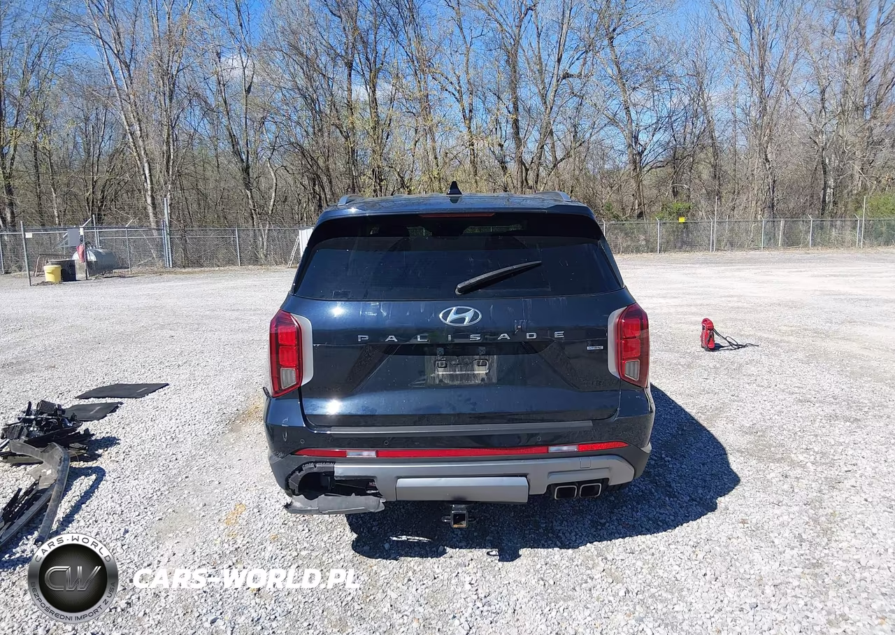 2023 Hyundai Palisade Sel VIN:KM8R4DGE4PU638299 - 17