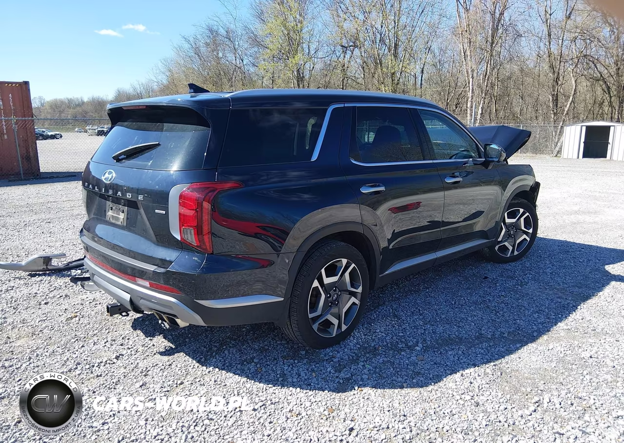 2023 Hyundai Palisade Sel VIN:KM8R4DGE4PU638299 - 4