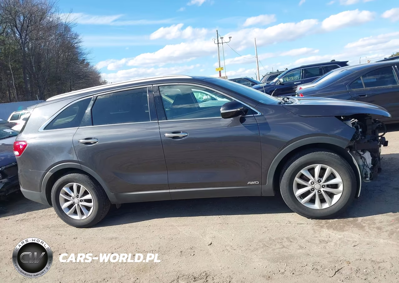 2018 Kia Sorento 2.4L Lx VIN:5XYPGDA32JG348078 - 13